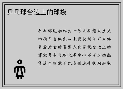 乒乓球台边上的球袋